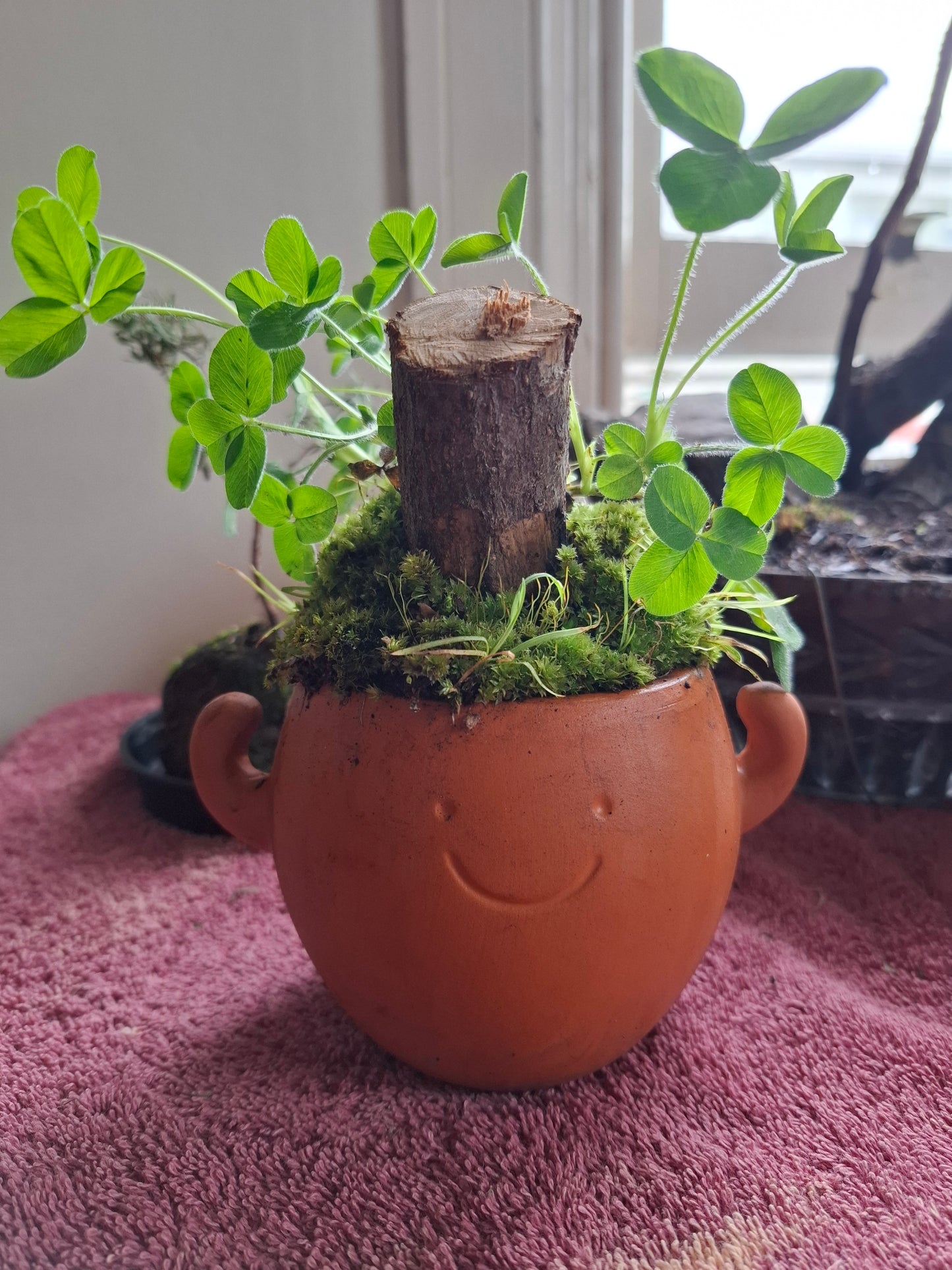 🌿 Custom Moss Pot Gifts – Nature’s Whimsy in Every Container 🌿
