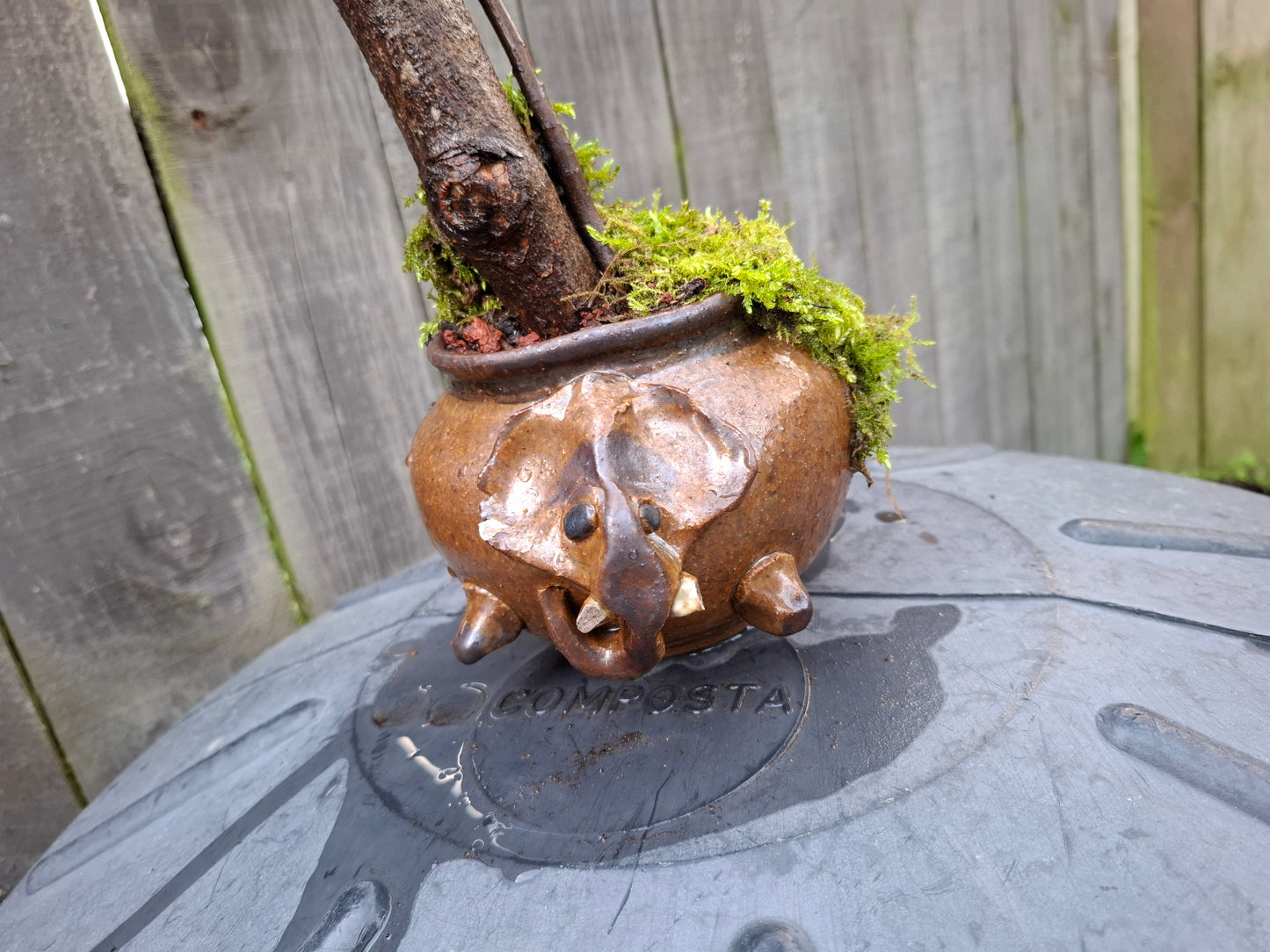 🌲Echoes of the Forest – Literati Bonsai in Glazed Elephant Pot